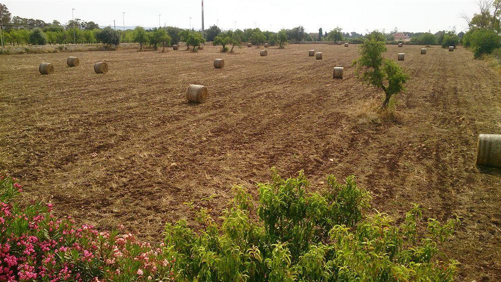לינה וארוחת בוקר אגריג'נטו Il Mirto E La Rosa מראה חיצוני תמונה